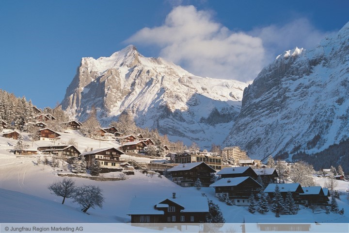 Hotel Steinbock frei / Grindelwald Schweiz Skipass