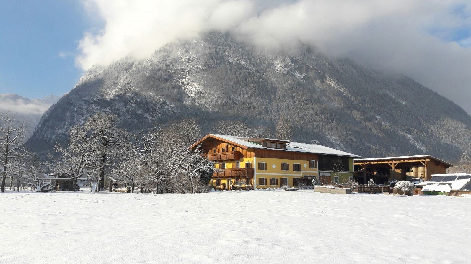 Biobauernhof Starbauer in Dachstein-West günstig buchen / Österreich Biobauernhof Starbauer in Dachstein-West, Biobauernhof Starbauer / Österreich