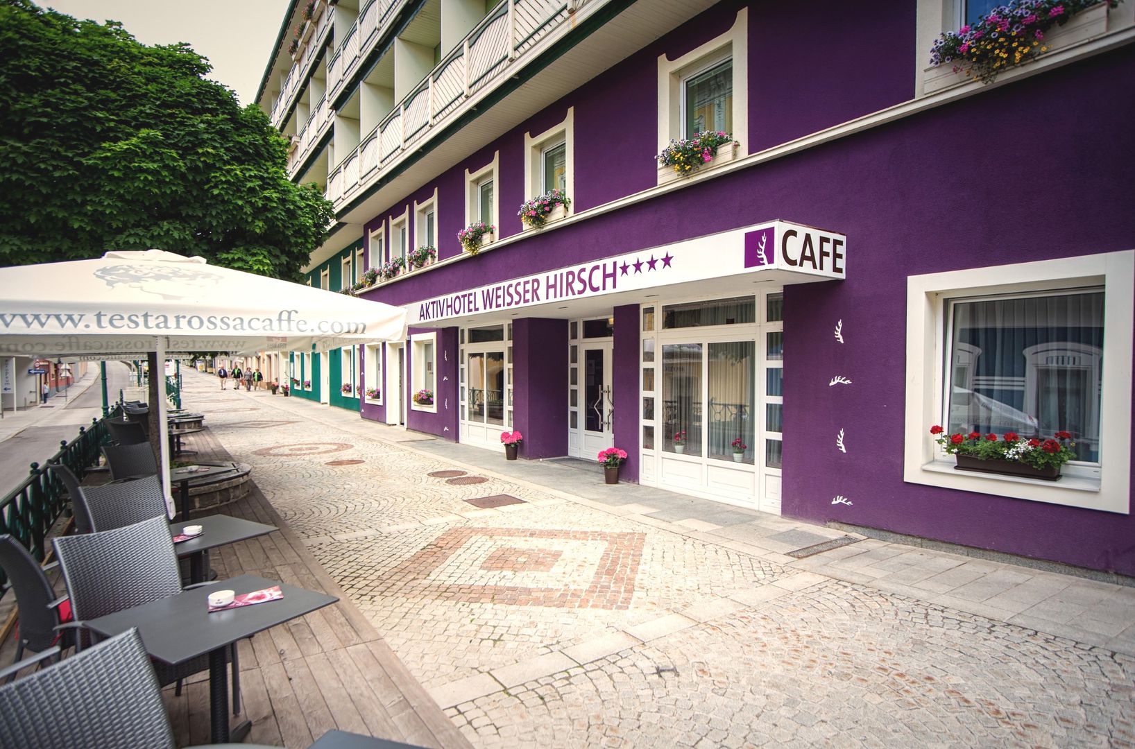 Aktivhotel Weißer Hirsch in Mariazell günstig buchen / Österreich Aktivhotel Weißer Hirsch in Mariazell, Aktivhotel Weißer Hirsch / Österreich