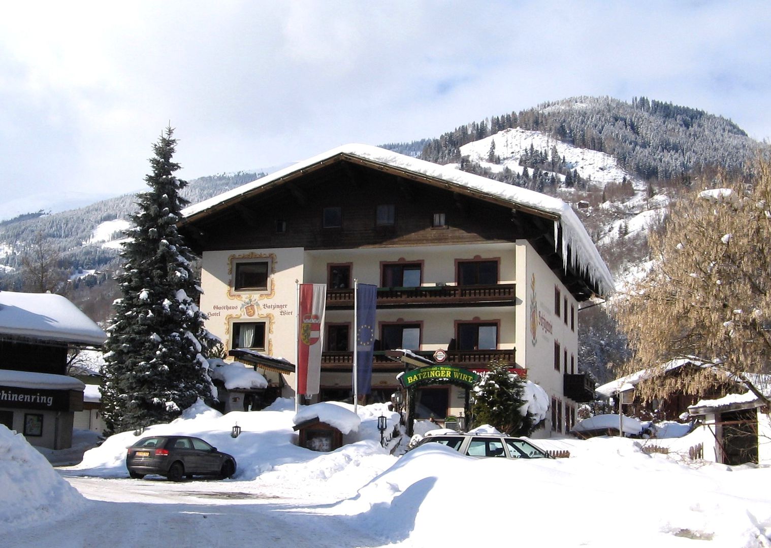 Gasthof Batzinger - Unterkunft in Muehlbach-im-Pinzgau