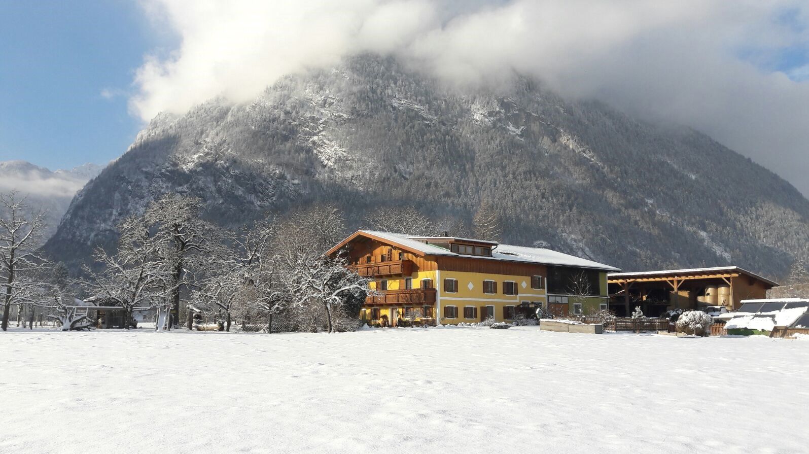 Biobauernhof Starbauer in Dachstein-West, Biobauernhof Starbauer / Österreich