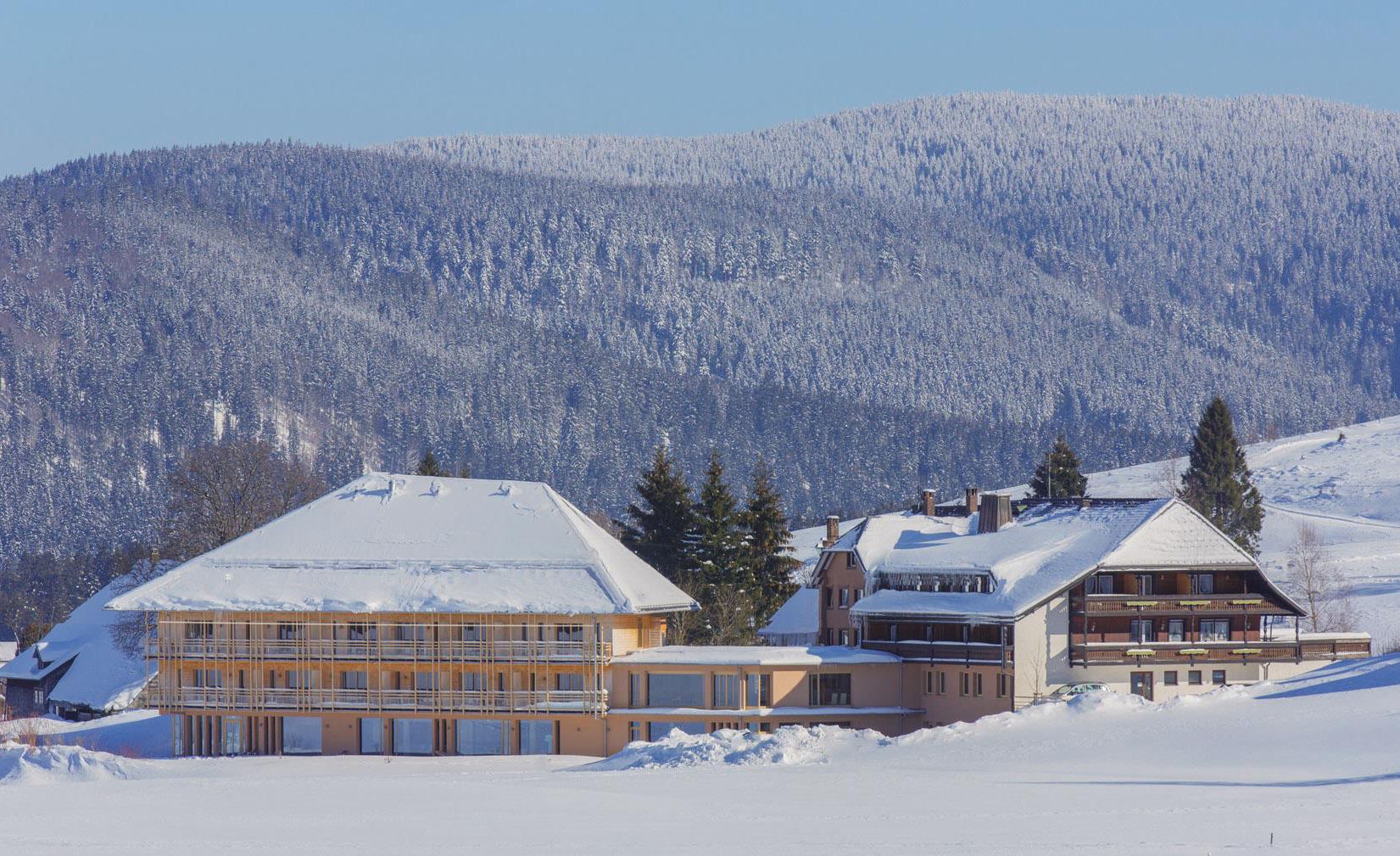 Hotel Breggers Schwanen - Unterkunft in Todtmoos