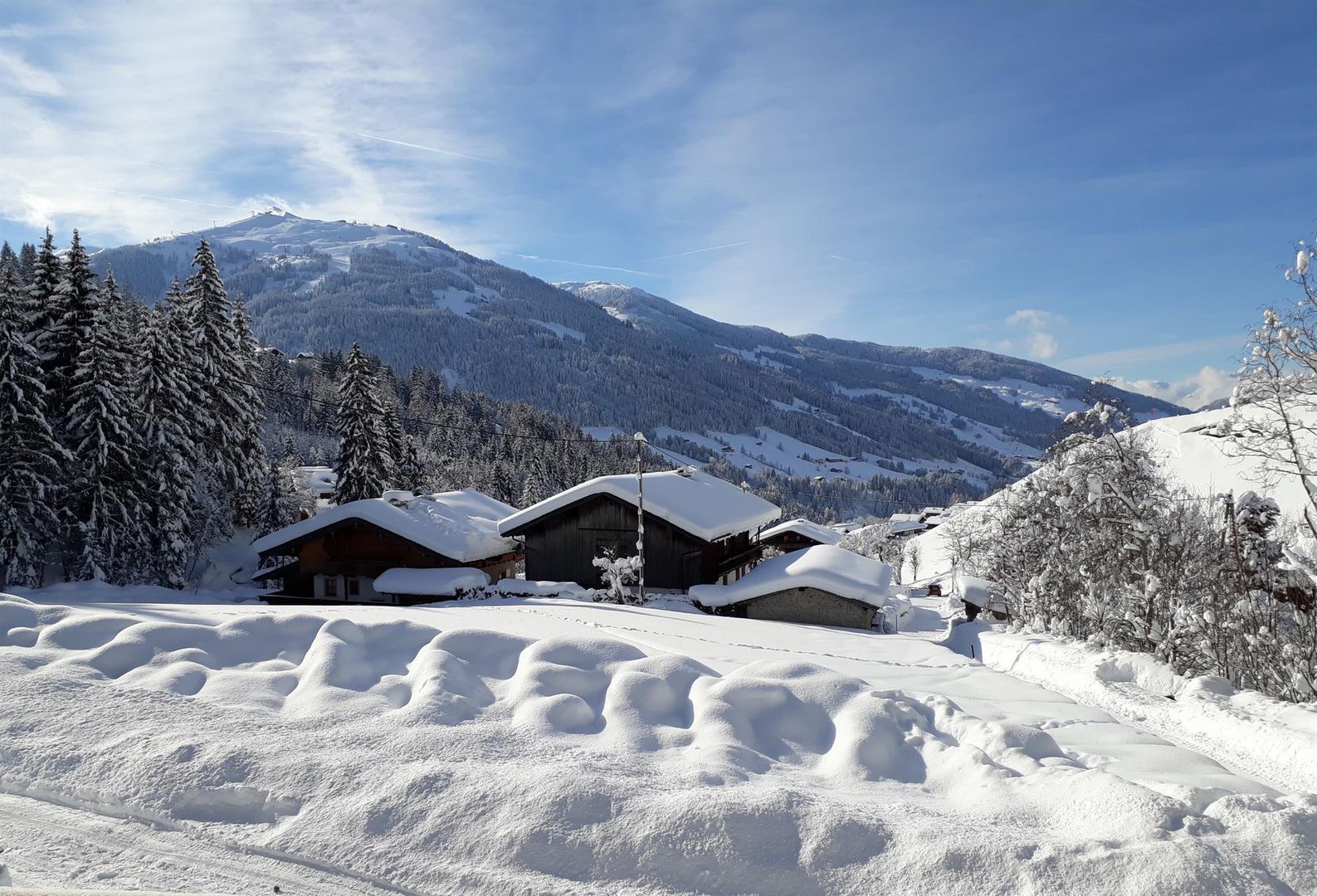 Apartmenthaus Schönwies in Alpbach, Apartmenthaus Schönwies / Österreich