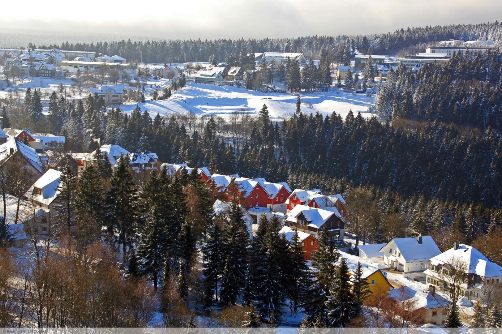 Thüringer Wald