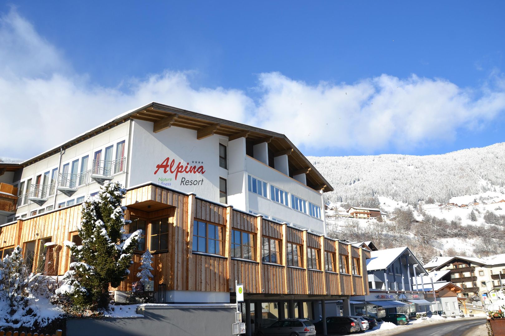 Hotel Alpina Resort - Unterkunft in Pitztal