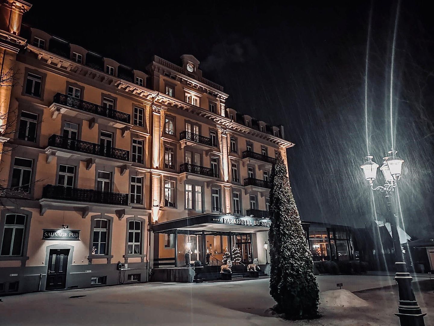 Parkhotel du Sauvage in Meiringen-Hasliberg, Parkhotel du Sauvage / Schweiz