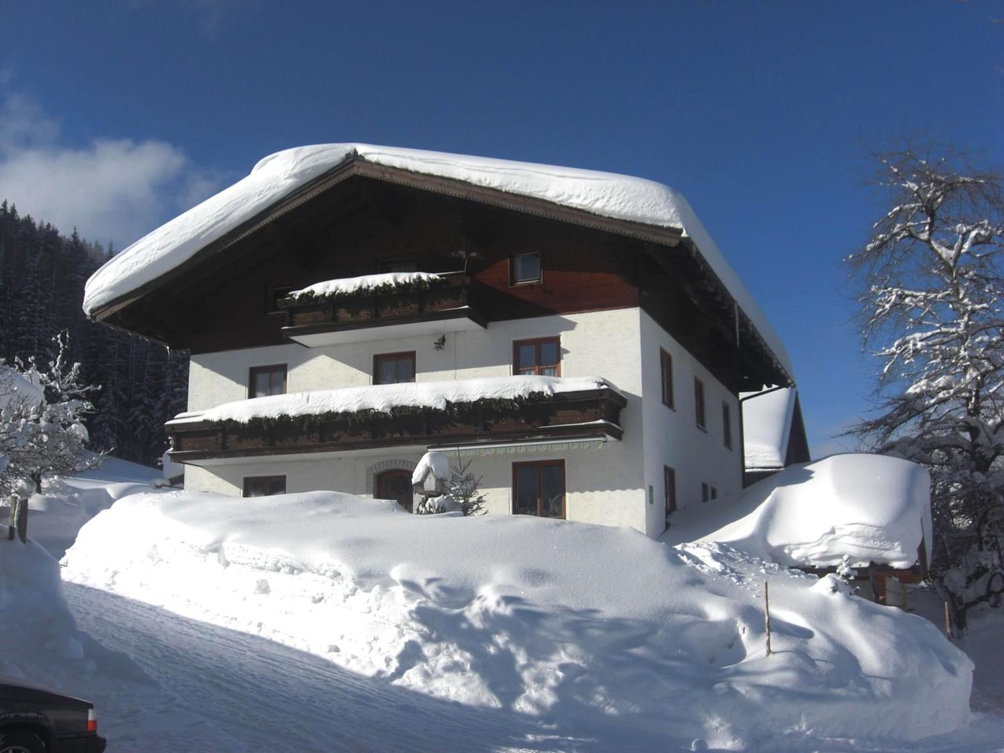 Payrhof in Dachstein-West, Payrhof / Österreich