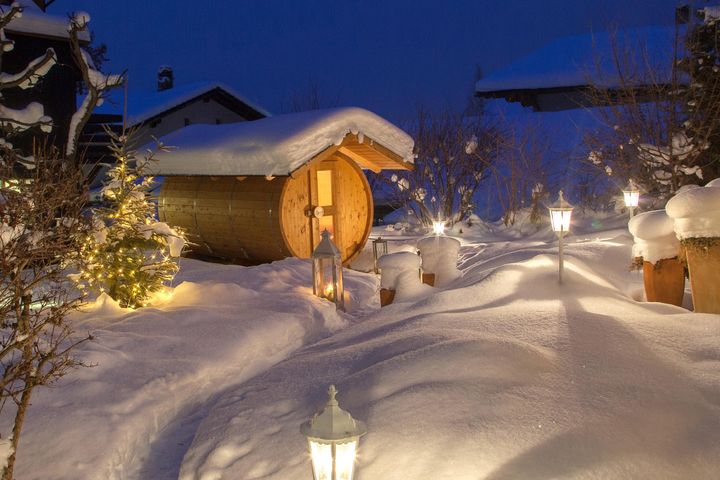 Hotel Bristol frei / Adelboden Schweiz Skipass