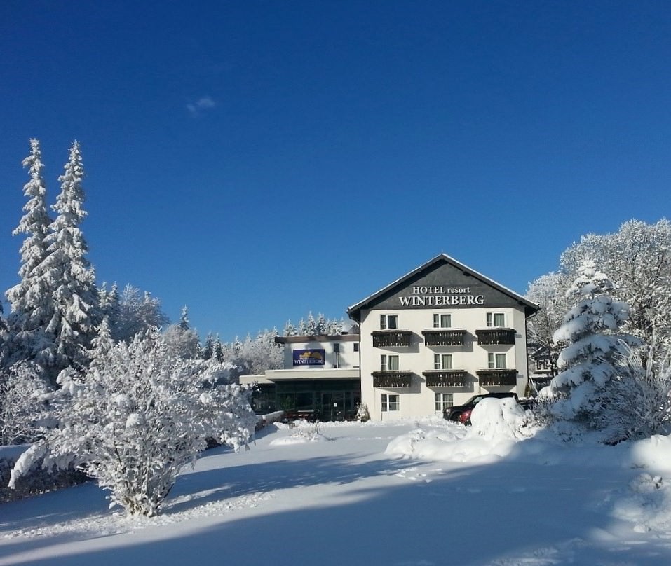 Hotel Winterberg Resort in Winterberg, Hotel Winterberg Resort / Deutschland