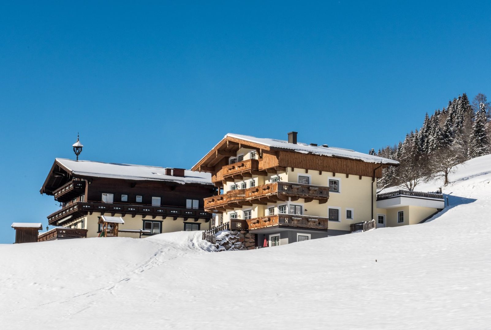 Pension & Appartements Ganzenhubhof - Unterkunft in Flachau-Wagrain