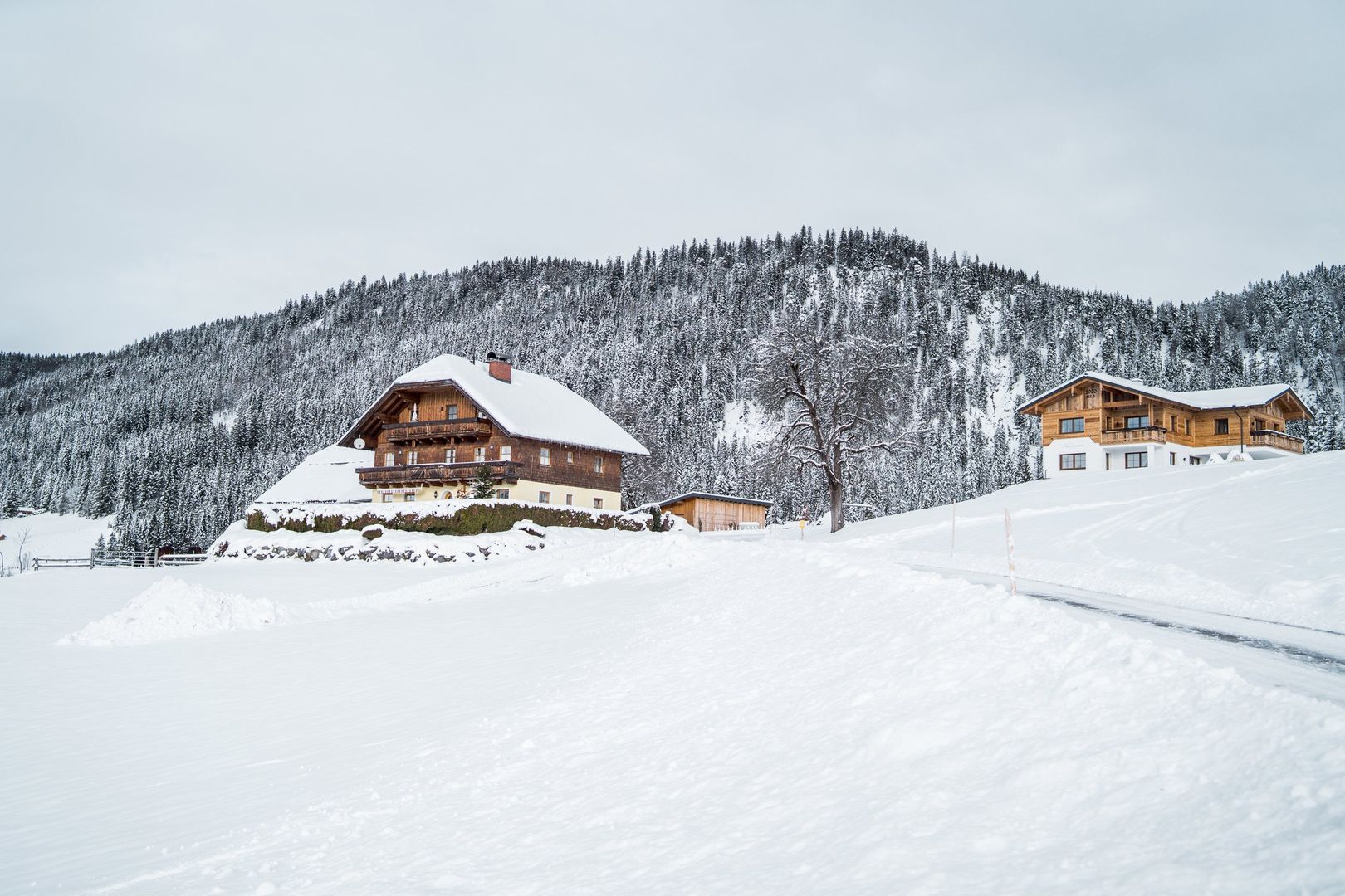 Bio-Bauernhof Oberhinterberg in Dachstein-West, Bio-Bauernhof Oberhinterberg / Österreich