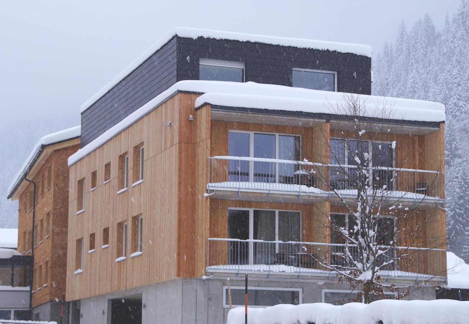 Aparthotel Alpine Lodge Klösterle - Unterkunft in Dalaas-Wald