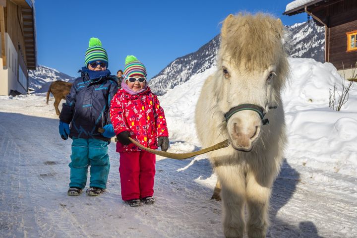 Komfortbauernhof Zittrauerhof frei / Bad Gastein/Hofgastein Österreich Skipass