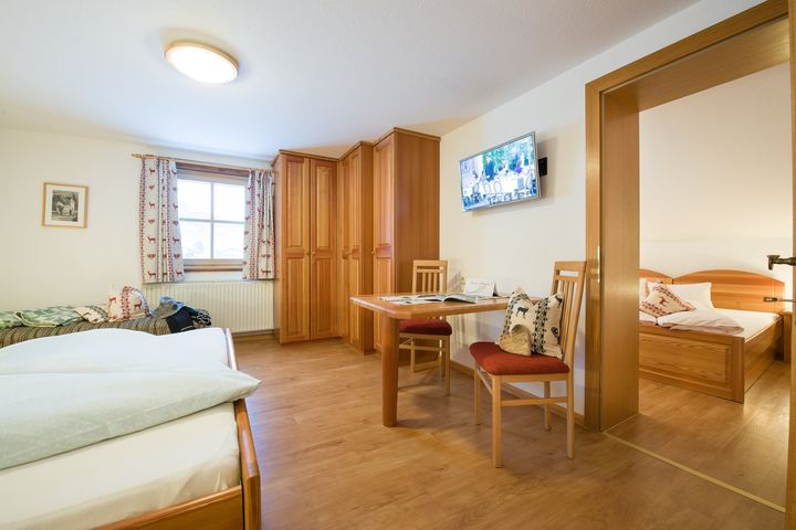 Komfortbauernhof Zittrauerhof frei / Bad Gastein/Hofgastein Österreich Skipass