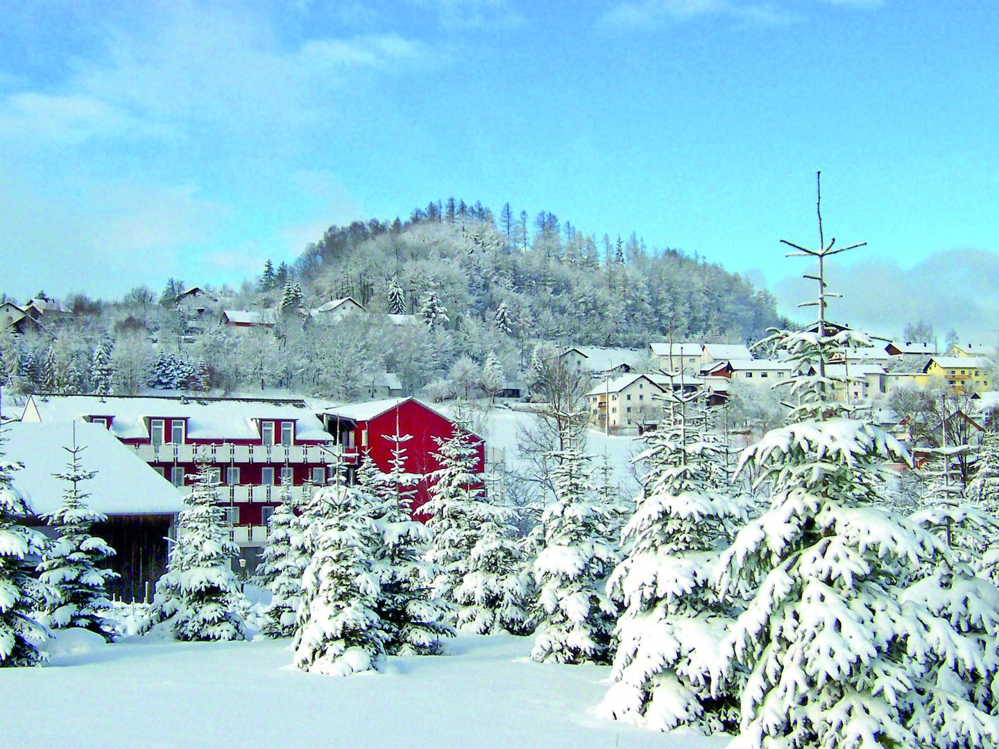 Familienhotel Reiterhof Runding - Unterkunft in Bayerischer-Wald