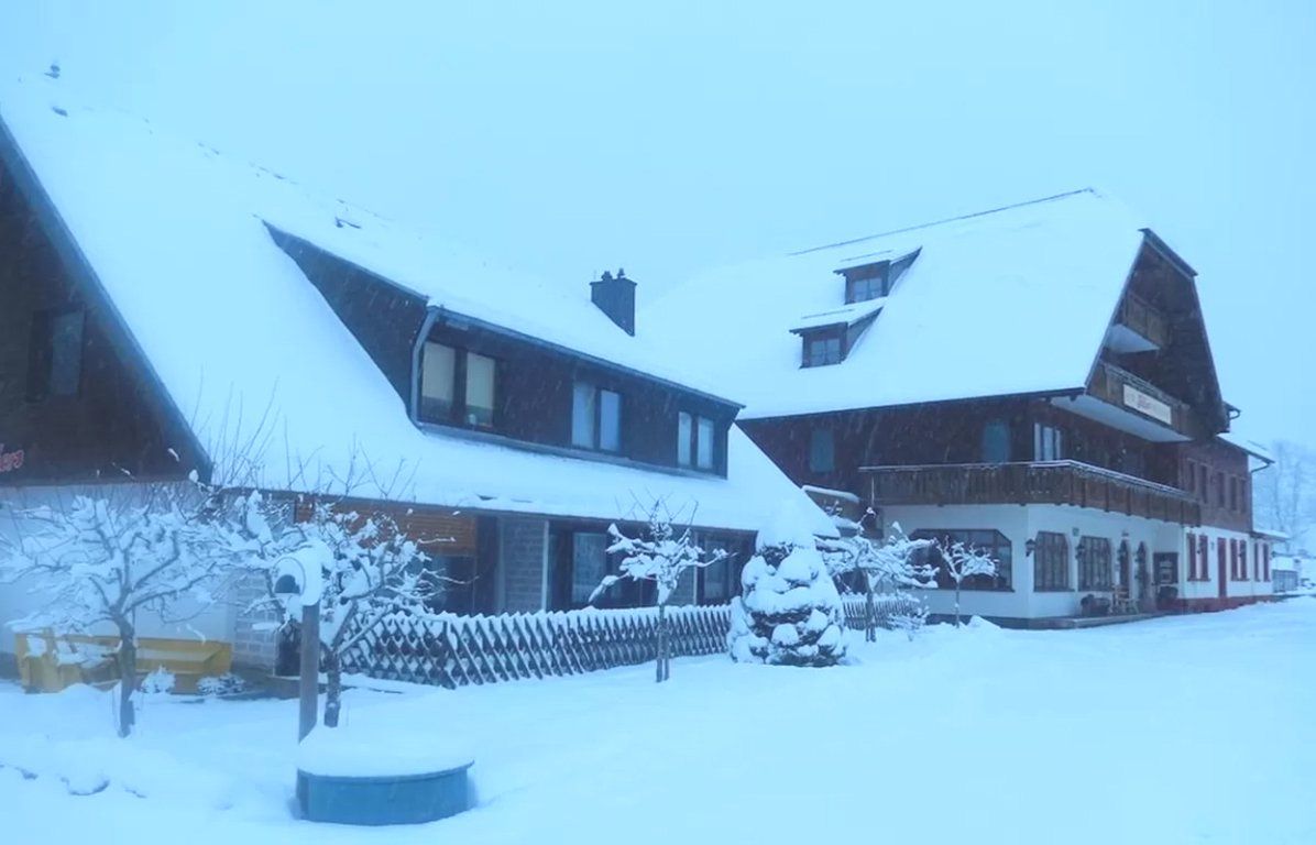 Hotel Faller - Unterkunft in Hinterzarten