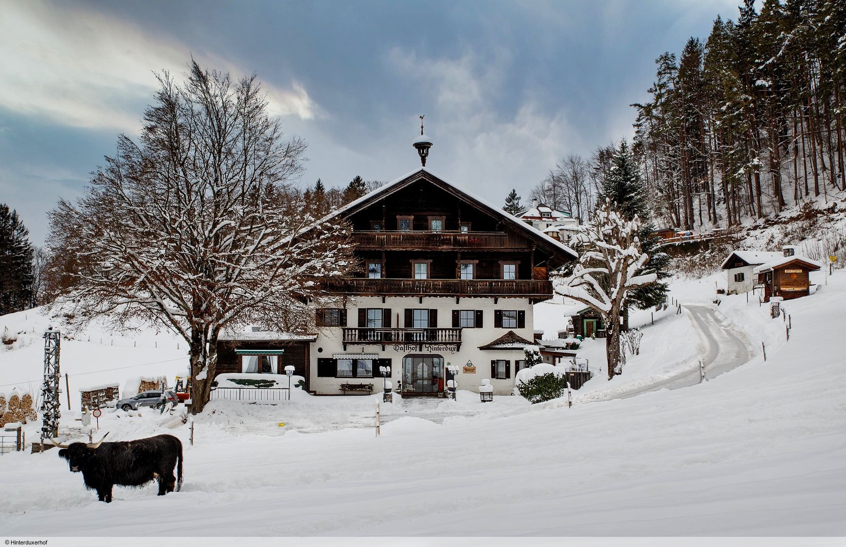 Berghotel Hinterduxerhof in Kufstein, Berghotel Hinterduxerhof / Österreich