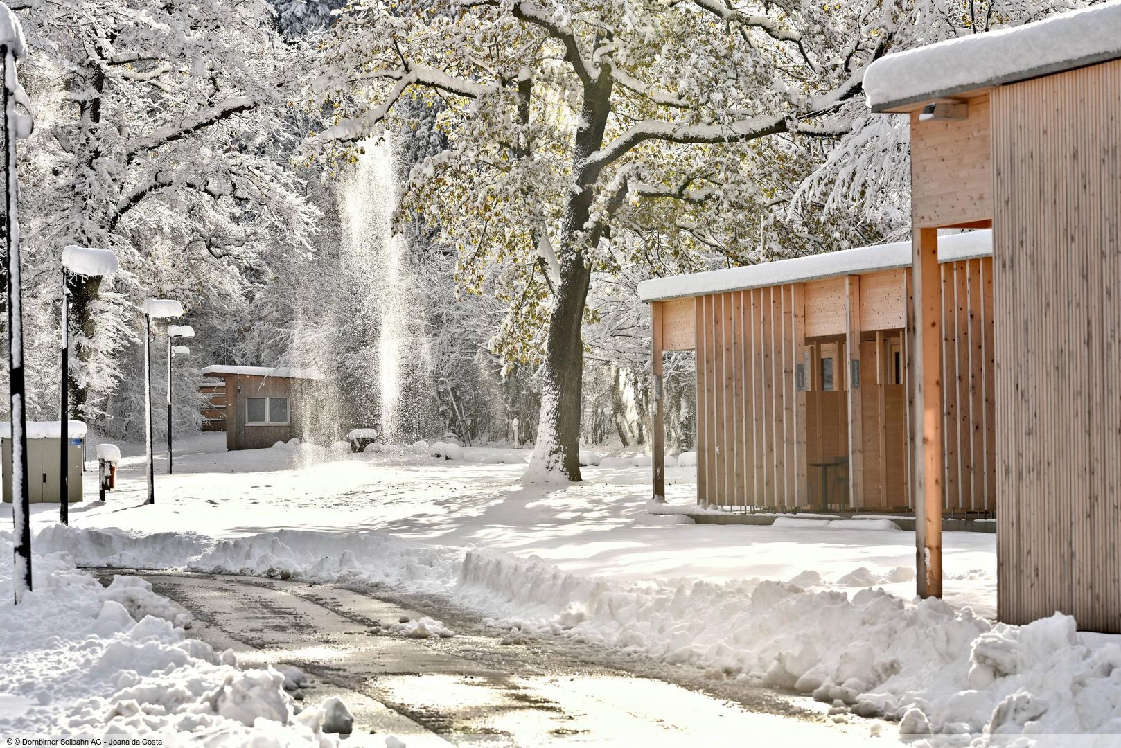 Camping Dornbirn & Apartments - Unterkunft in Bezau
