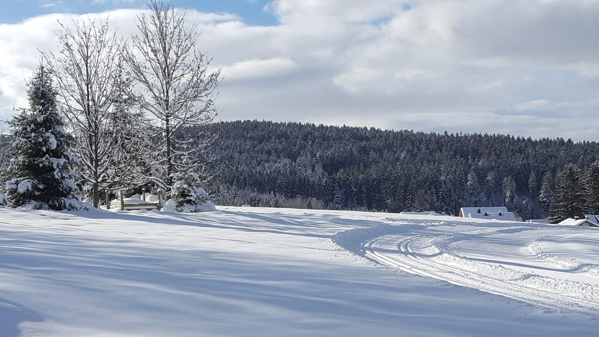 Der Wieshof in Bayerischer Wald, Der Wieshof / Deutschland