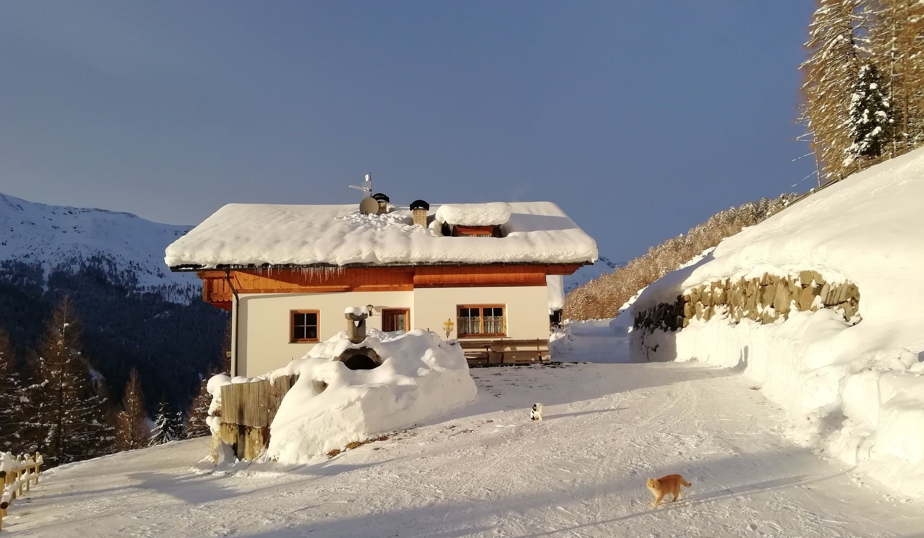 Wieserhof - Unterkunft in Sarntal