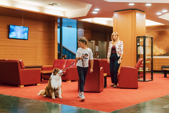 Hotel Kompas frei / Kranjska Gora Slowenien Skipass