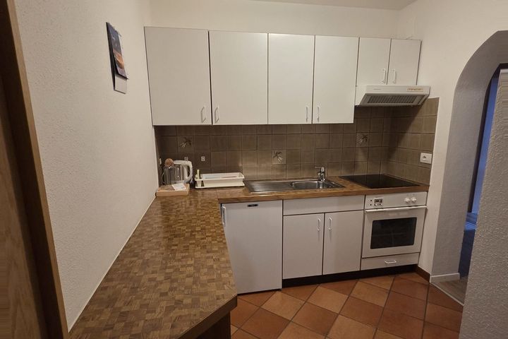 Appartement Wasserer frei / St. Johann im Ahrntal Italien Skipass