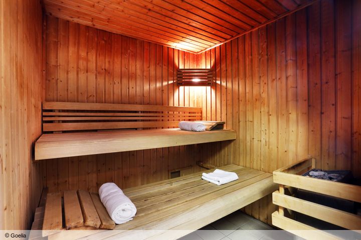 Les Chalets des Cimes (Sparpreis) frei / Les Sybelles Frankreich Skipass