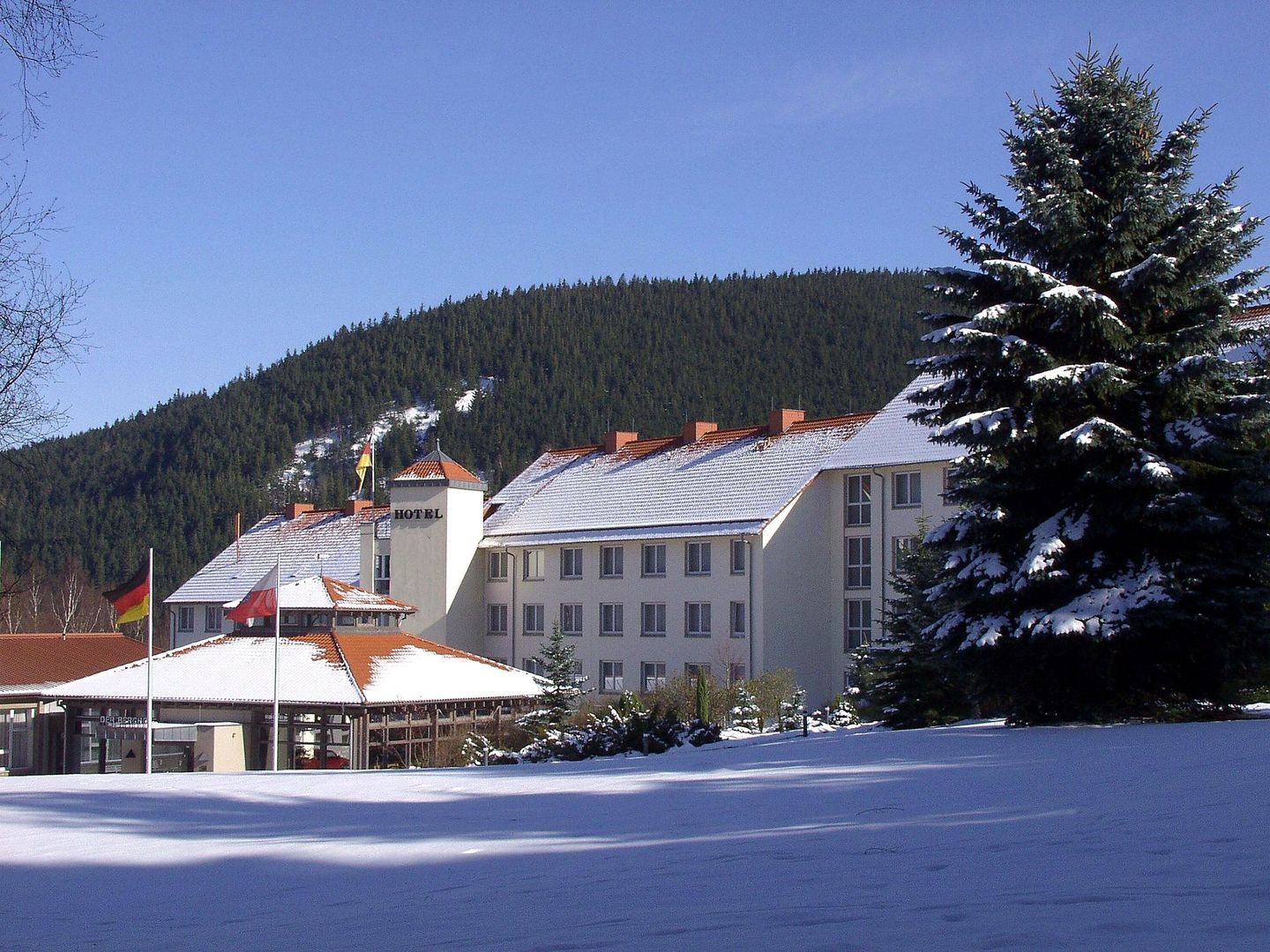 Waldhotel Berghof - Unterkunft in Thueringer-Wald