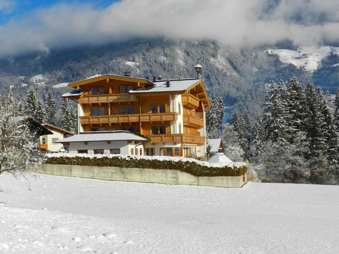 Hotel Pension Wiesenhof in Kaltenbach - Ried - Stumm günstig buchen / Österreich Hotel Pension Wiesenhof in Kaltenbach - Ried - Stumm, Hotel Pension Wiesenhof / Österreich