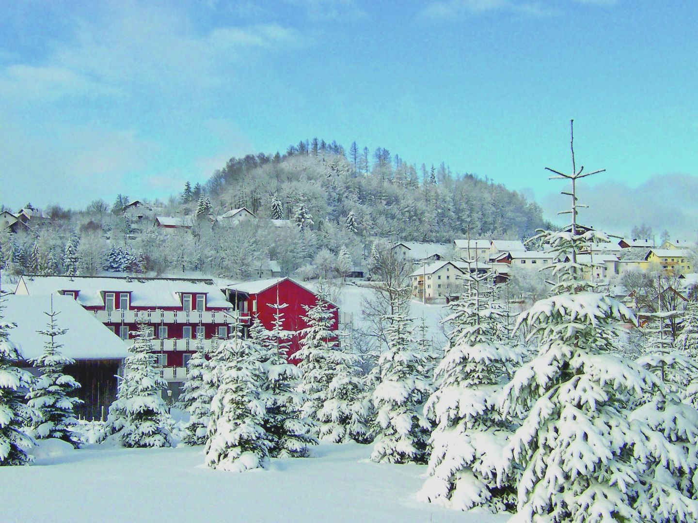 Familienhotel Reiterhof Runding in Bayerischer Wald, Familienhotel Reiterhof Runding / Deutschland