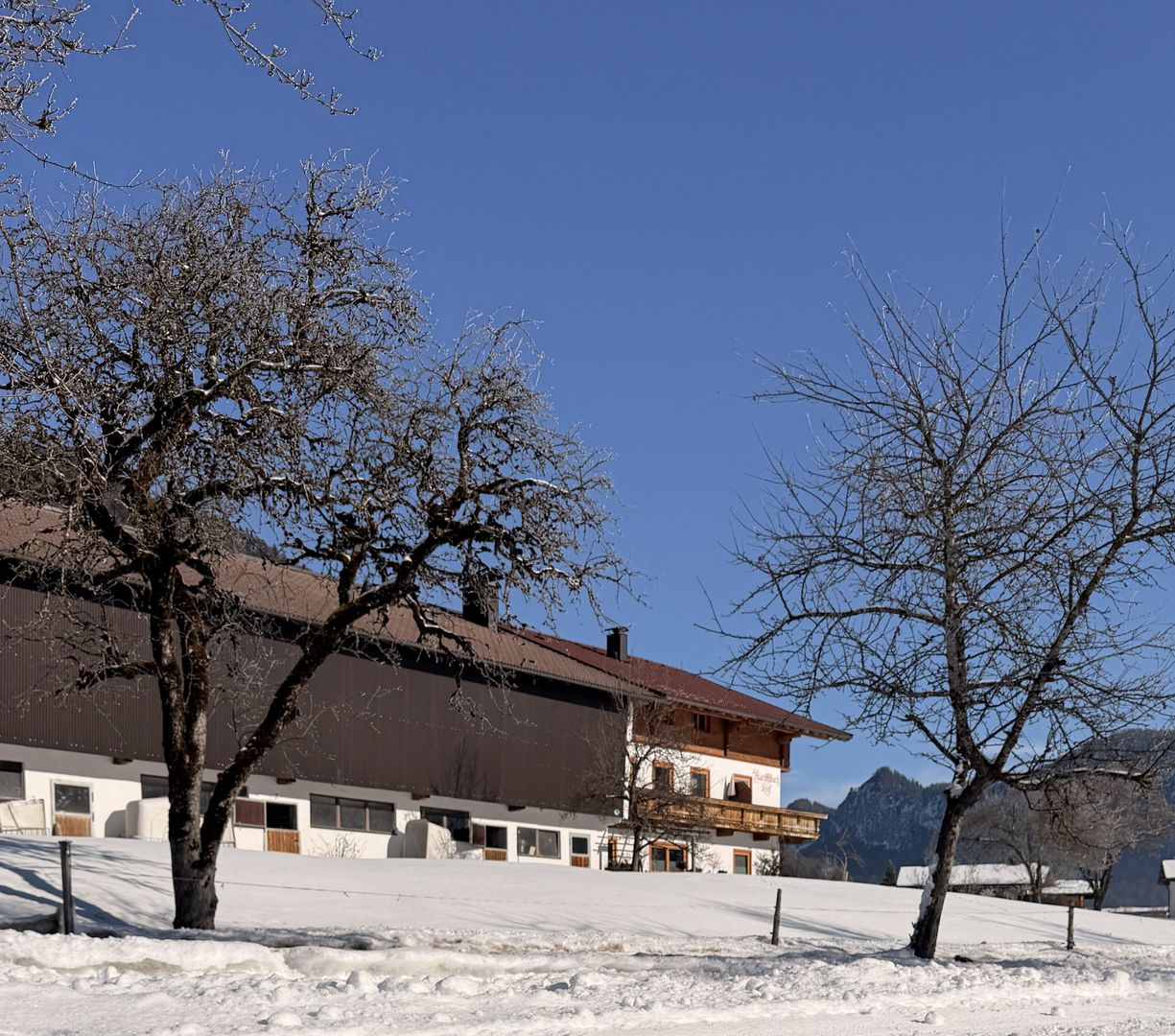 Der Marschbachhof Panorama Der Marschbachhof Panorama - Unterkunft in Walchsee